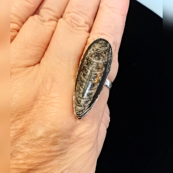 💚2 for $40💚NWOT Natural Orthoceras Fossilized Stone .925 Sterling Overlay Ring - Picture 10 of 12